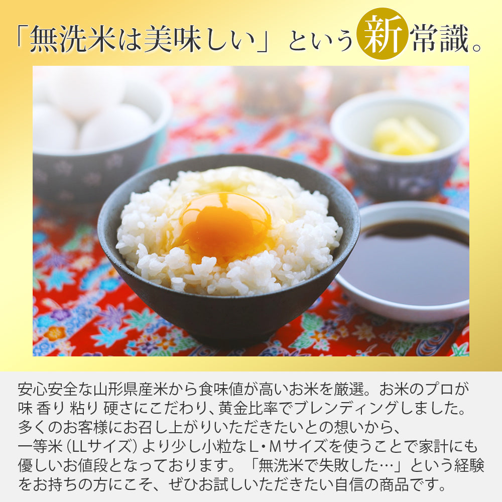 無洗米 30kg (5kg×6袋) こつぶ姫 国内産 送料無料 30キロ 米 こめ コメ お米 精米