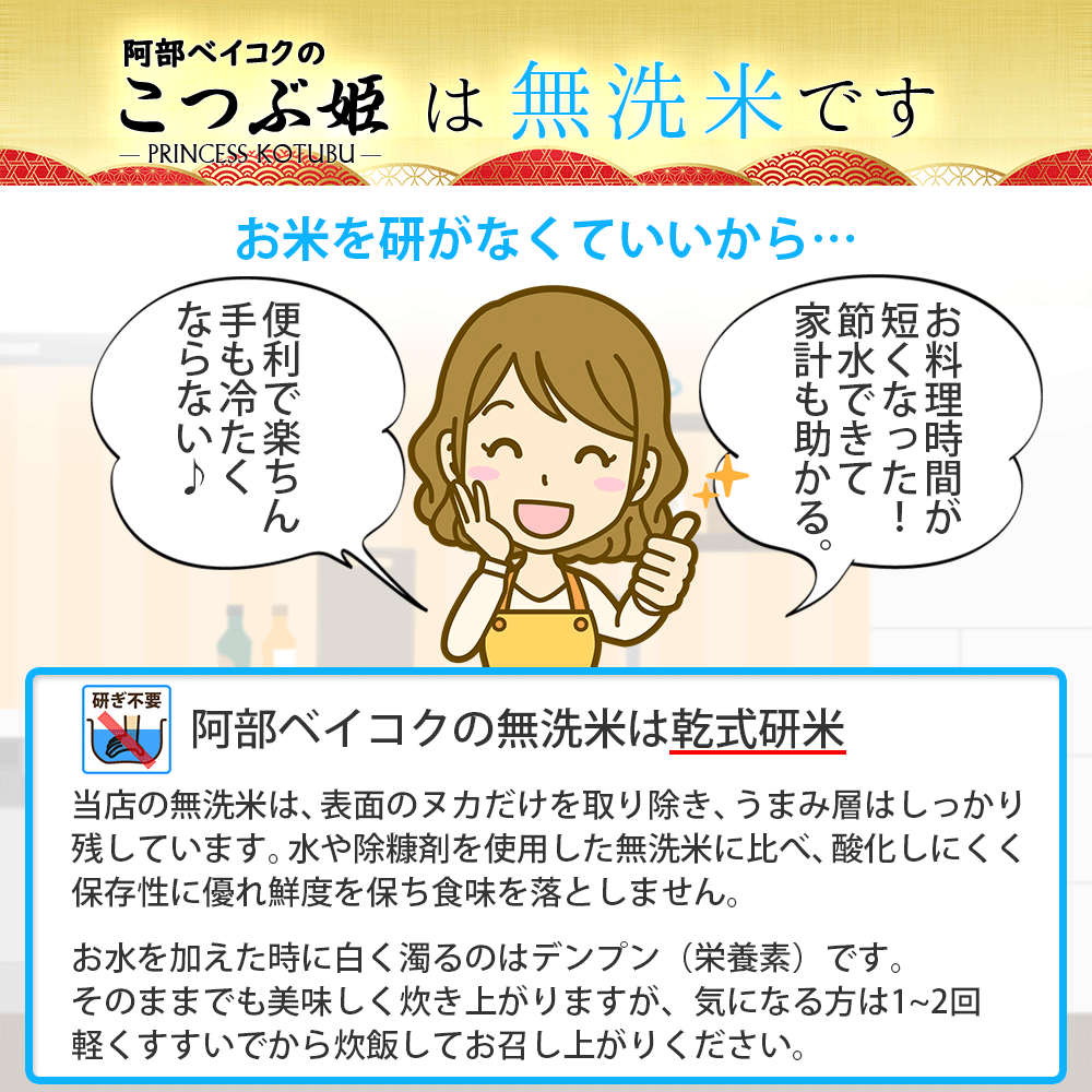 無洗米 30kg (5kg×6袋) こつぶ姫 国内産 送料無料 30キロ 米 こめ コメ お米 精米