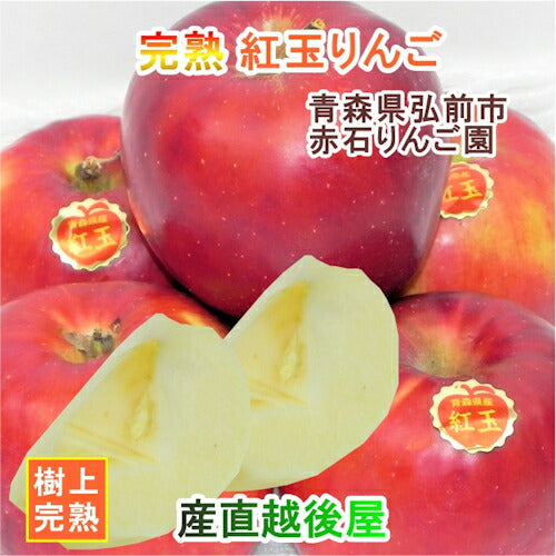 【フルーツ りんご 青森りんご 送料無料】青森県弘前市 赤石りんご園青森りんご 紅玉 4.5kg（14玉～24玉）通常品 樹上完熟りんご【リンゴ 果物 贈答品 ギフト】