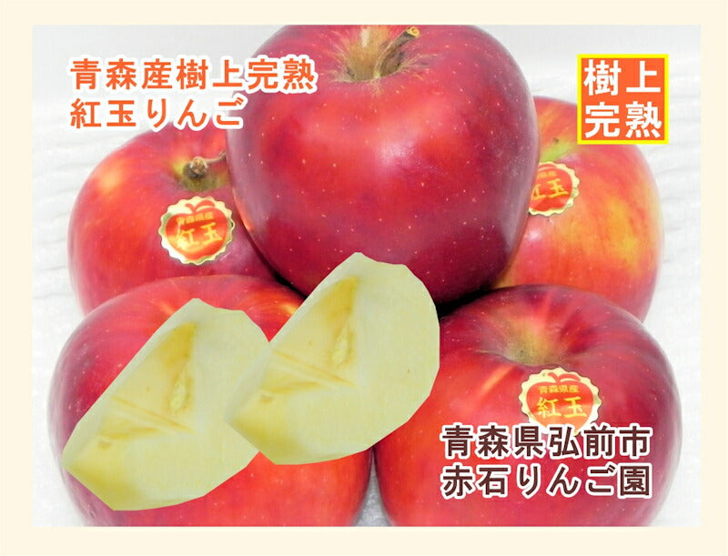 【フルーツ りんご 青森りんご 送料無料】青森県弘前市 赤石りんご園青森りんご 紅玉 2.3kg（8玉～12玉）通常品 樹上完熟りんご【リンゴ 果物 贈答品 ギフト】