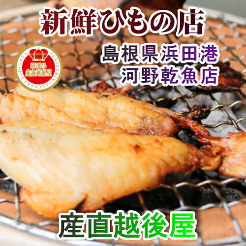 【送料込み】島根県浜田港 干物の河野乾魚店干物のどぐろ(アカムツ) 大2枚 どんちっち