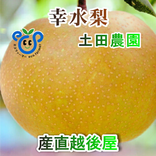 【フルーツ 梨 和梨 幸水 送料無料】新潟県 エコファーマー認定農園 土田農園 有機栽培 幸水梨 贈答用 10kg(18個～28個）【なし 贈答品 プレゼント】