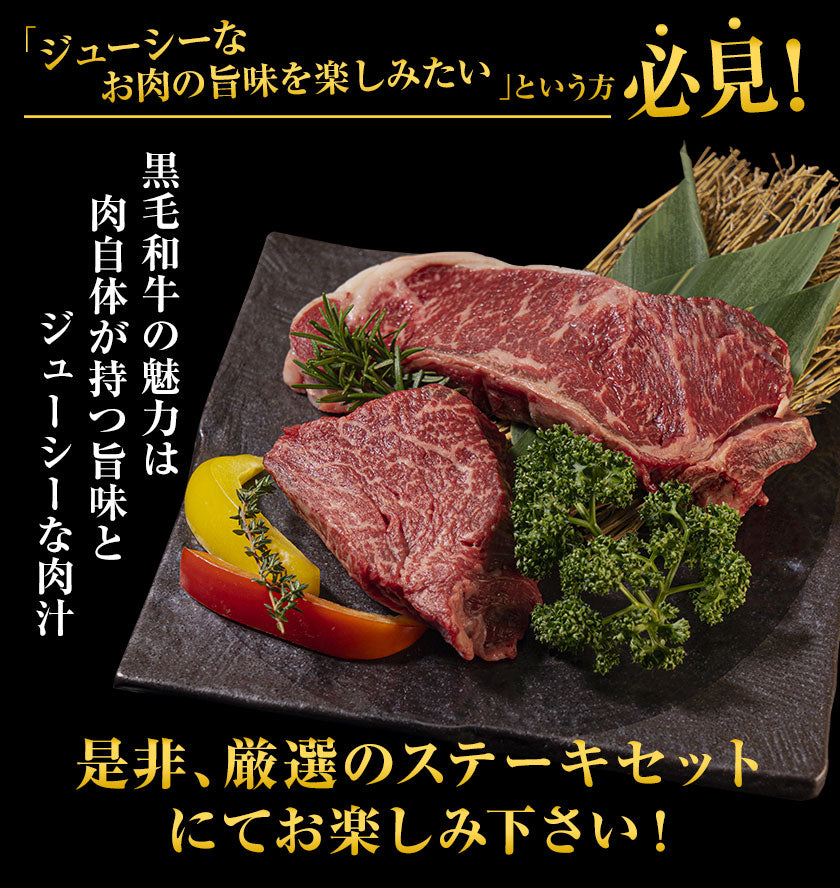 九州産黒毛和牛 厳選ステーキセット ヒレ200g サーロイン300g フードロス 食品ロス 削減支援 送料無料