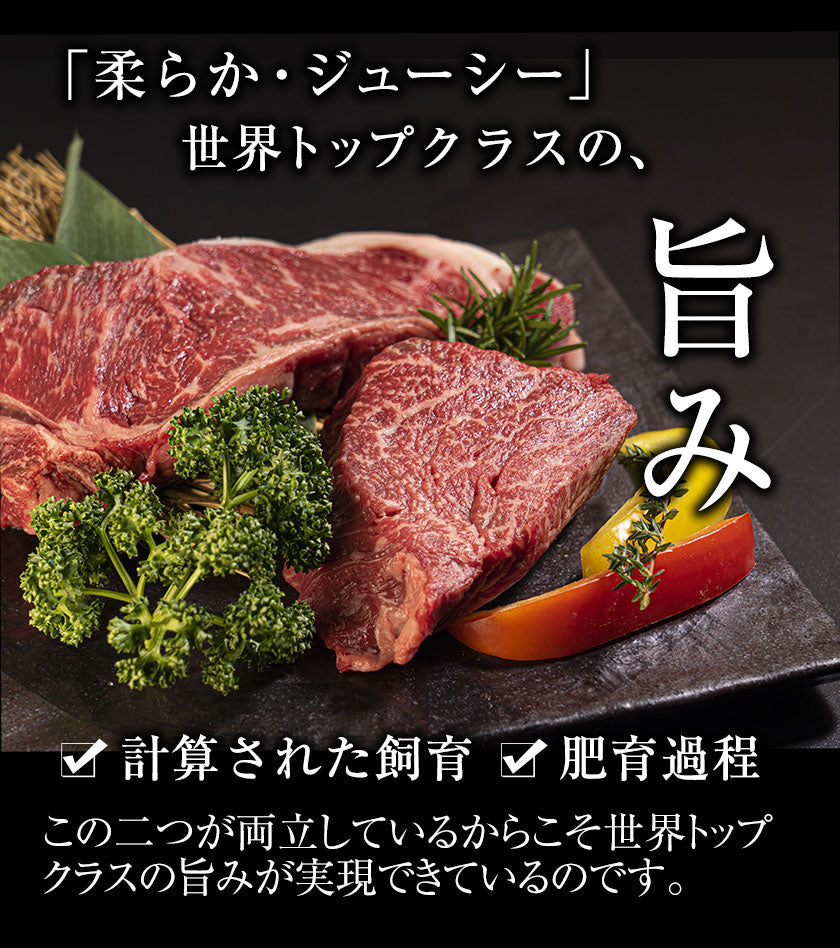 九州産黒毛和牛 厳選ステーキセット ヒレ200g サーロイン300g フードロス 食品ロス 削減支援 送料無料