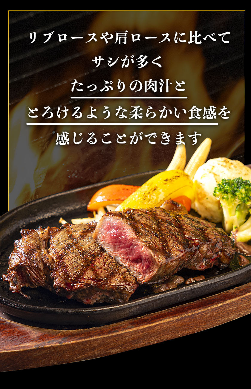 九州産黒毛和牛 厳選ステーキセット ヒレ200g サーロイン300g フードロス 食品ロス 削減支援 送料無料