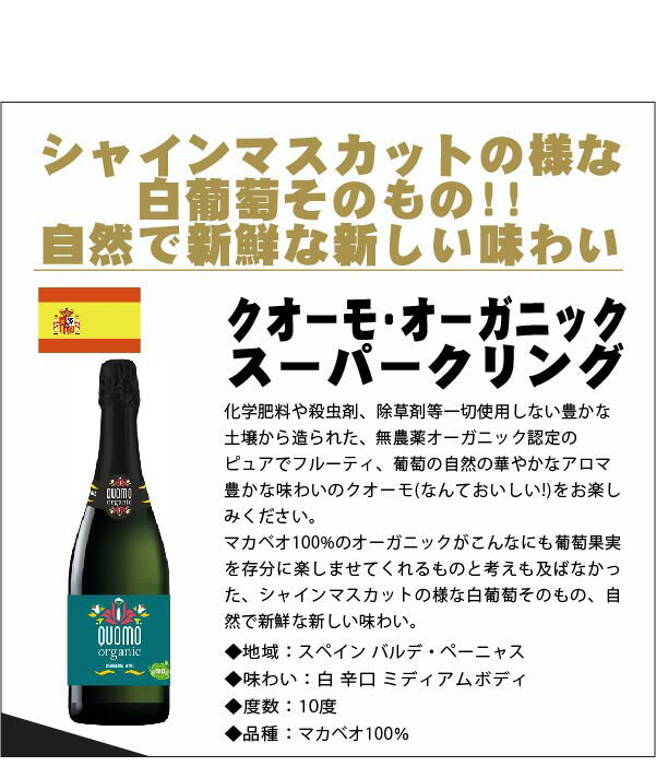 【送料無料】 驚愕のキング オブ ディスカウント ワインセット 第3弾 [750ml×12本]白ワイン6本 泡白6本 ＡＬＬブランセット【北海道・東北・四国・九州・沖縄県は必ず送料がかかります】