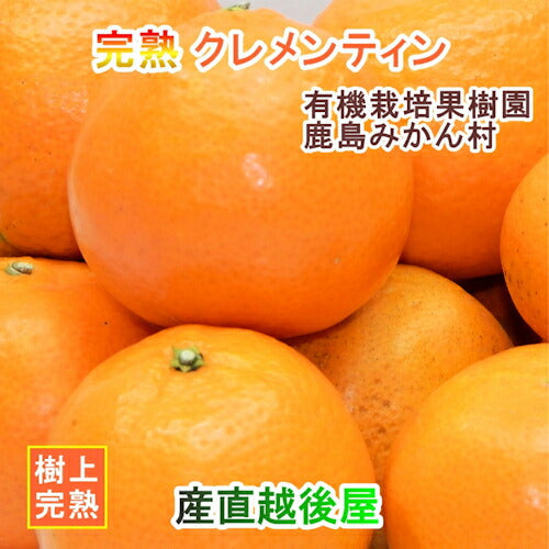 【フルーツ みかん クレメンティン】佐賀県 鹿島市 有機みかん佐藤農場低農薬栽培 クレメンティン 5kg AB混合採りたてを農園から産地直送 送料無料【ミカン 果実 ギフト 無農薬栽培】