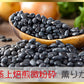 黒豆茶 国産 粉末 100g 北海道産黒豆 大容量200杯分