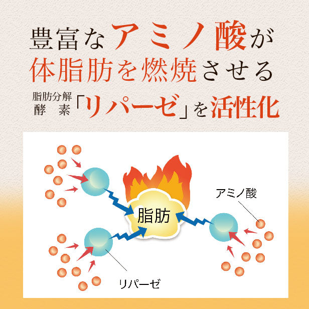 機能性表示食品：お腹の内臓脂肪とウエストサイズが気になる方の黒酢：10包 [ 5-ALA コロナ太り お腹の脂肪 酢酸　アミノ酸 ダイエット 黒酢 スティック 酵素 断食 置き換え ドリンク サプリ 国産 鹿児島]