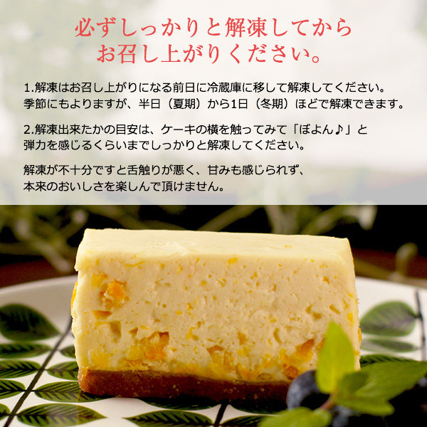 コガネイチーズケーキオールスターズ