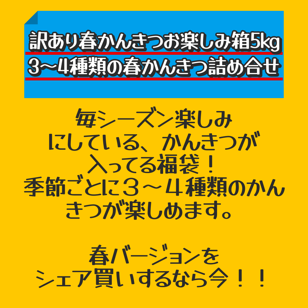 訳あり春かんきつお楽しみ箱5kg(3～4種類の春かんきつ詰め合せ)【家計お助けSALE】