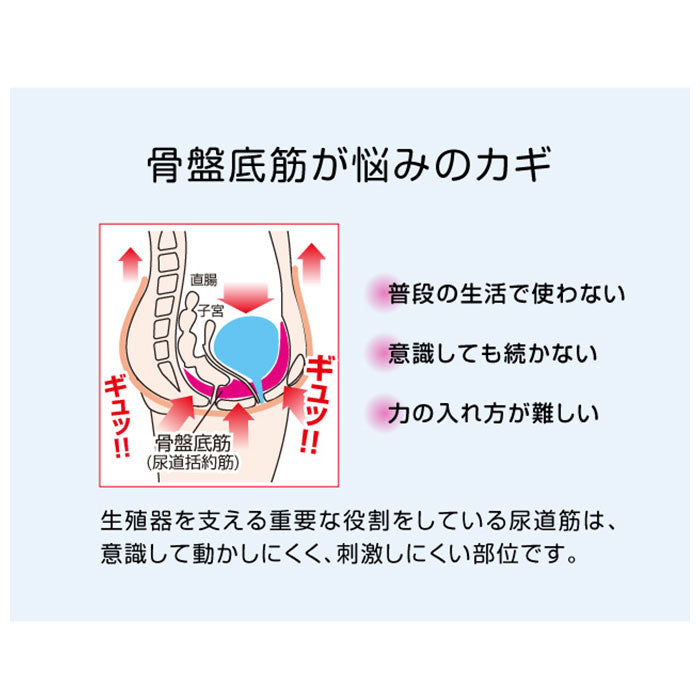 【ブラウン・キュットブル】 骨盤底筋トレーニング 通販 骨盤底筋エクササイズクッション キュットブル 骨盤底筋 クッション グッズ 骨盤底筋を鍛えるグッズ 骨盤 座椅子 骨盤 産後 尿漏れ 対策 尿もれ 予防