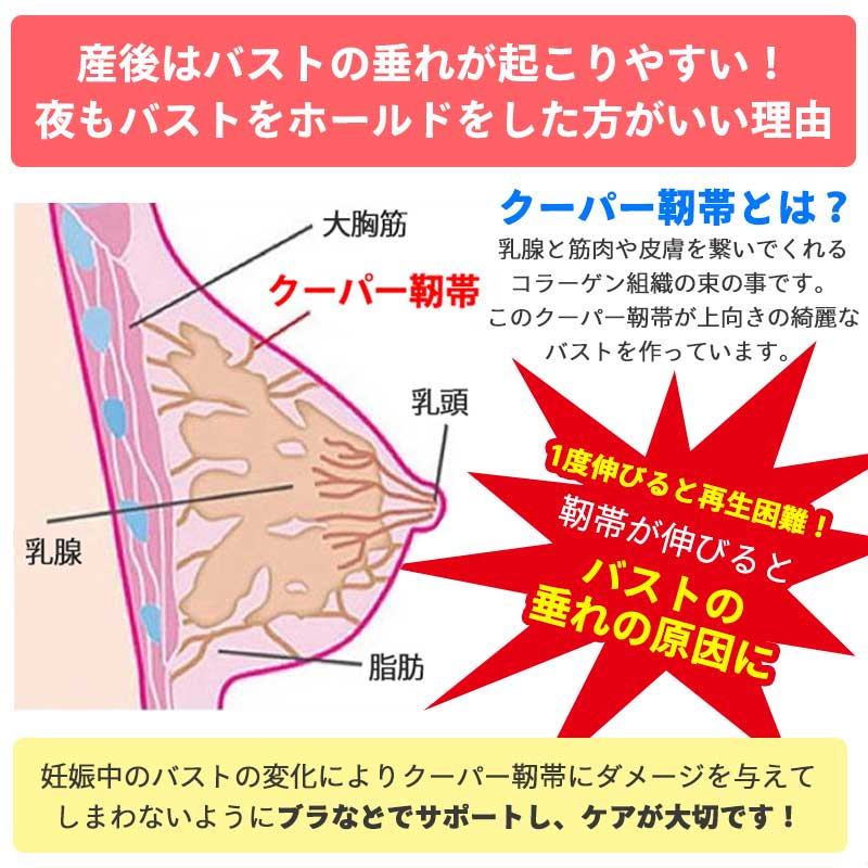 【ベージュ2枚 Lサイズ】 授乳ブラ 2枚セット 前開き ノンワイヤー 授乳用 ブラジャー 大きいサイズ 垂れ防止 コットン 授乳 ブラ 授乳ブラジャー マタニティブラ マタニティ ナイトブラ インナー マタニティブラジャー 産前 産後 下着 おしゃれ かわいい