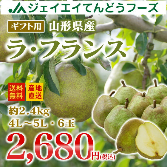 【ギフト】山形県産洋梨ラフランス約2.4kg(4L-5L・6玉入り)【のし対応】【お歳暮】【送料無料】※九州・沖縄・一部離島を除く