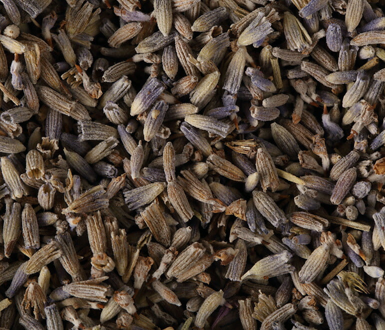 有機JAS オーガニック・ラベンダー 50g 【 ラベンダーティー ハーブ お茶 茶葉 ハーブティー 無農薬 ドライハーブ ポプリ 】