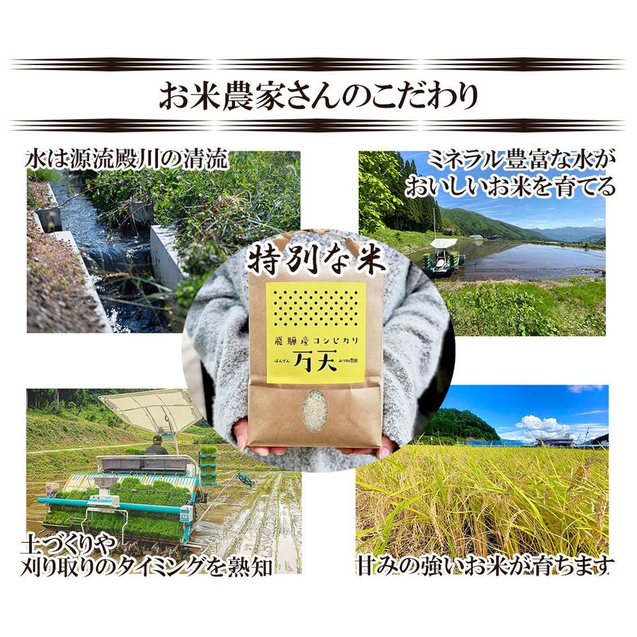 5kg 飛騨産 コシヒカリ
