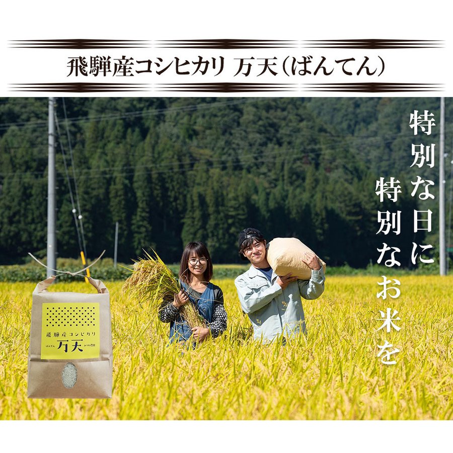5kg 飛騨産 コシヒカリ