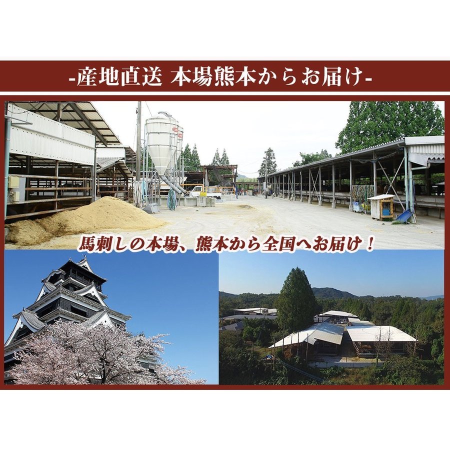 300g 国産 馬刺し赤身