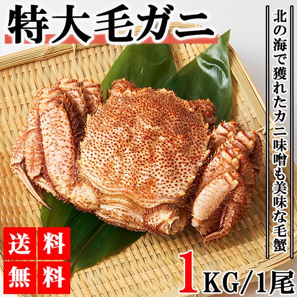 1kg 毛ガニ