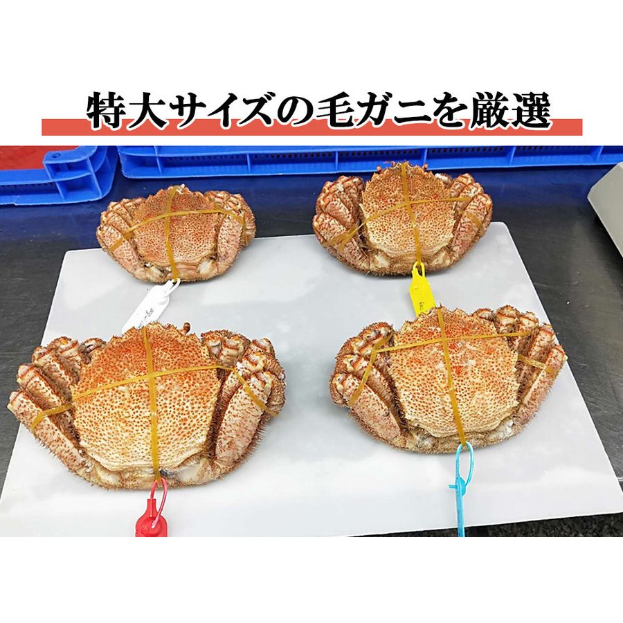 1kg 毛ガニ