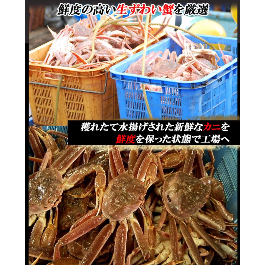 1kg 生ズワイ蟹セット