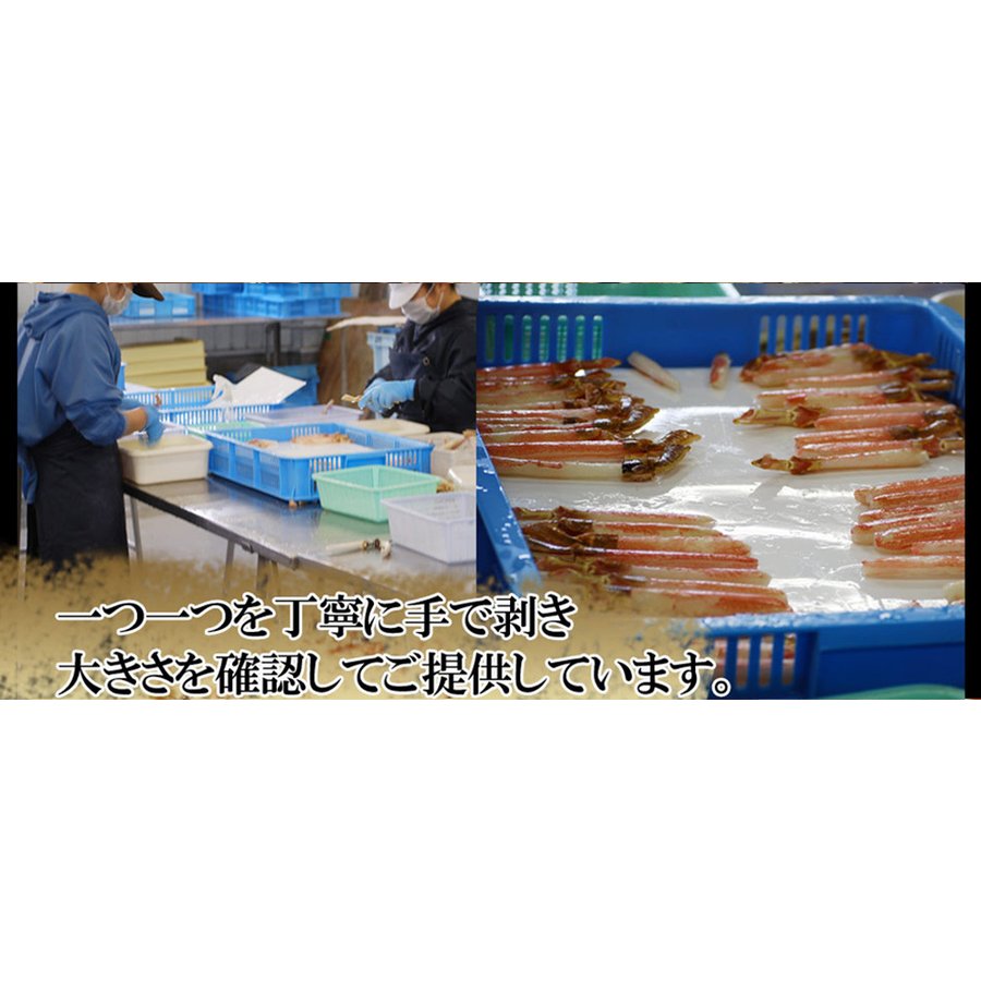 1kg 生ズワイ蟹セット
