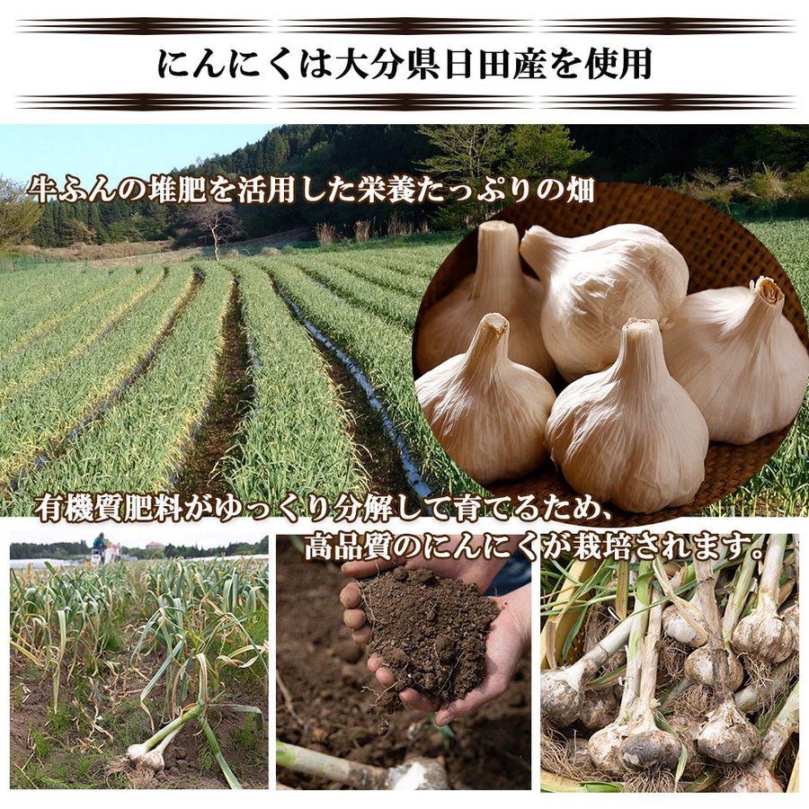 にんにく味噌 にんにくピクルス にんにく醤油 詰め合わせBセット