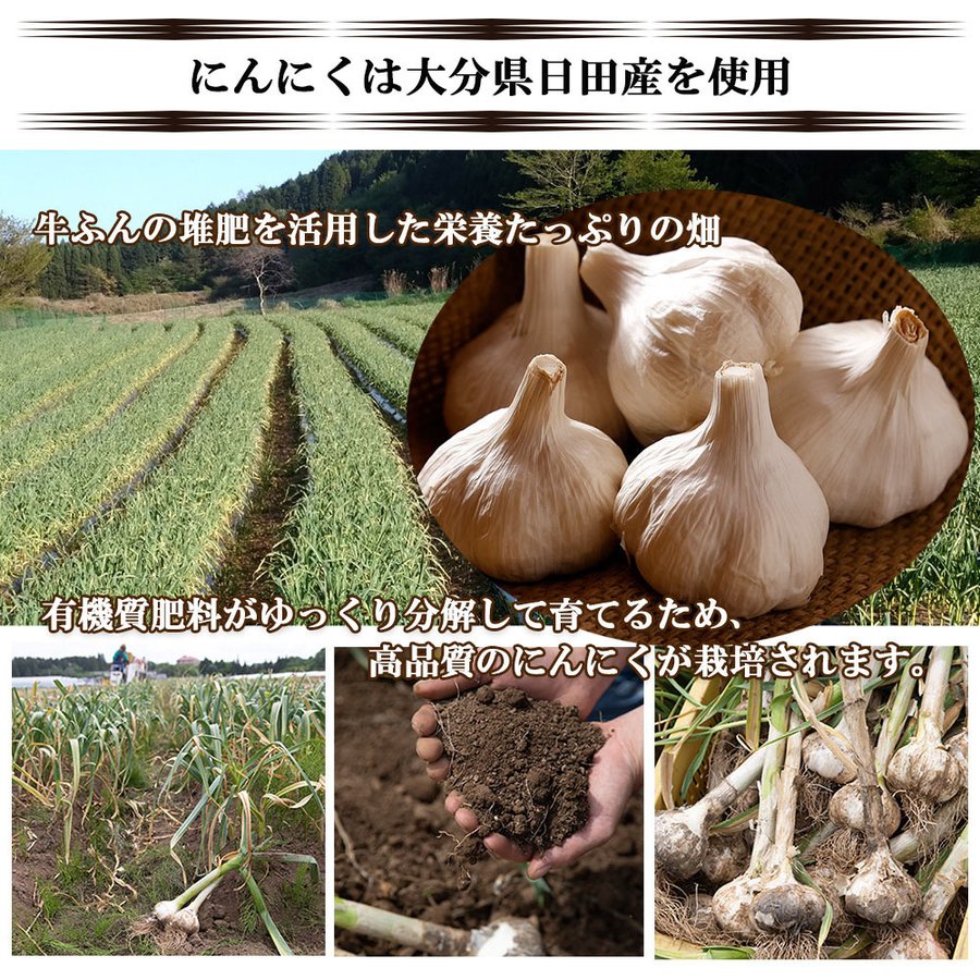 【3人シェア買いでお得】にんにく ニンニク にんにく味噌 200g ガーリック 味噌 みそ 合わせ味噌 調味料 ギフト 産地直送 国産 大分県日田産