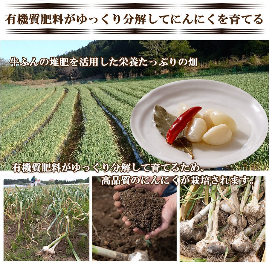 250g にんにくピクルス 大分県日田産
