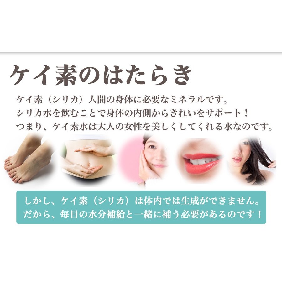 シリカ水 ケイ素水 525ml 40本 ケイ素の恵