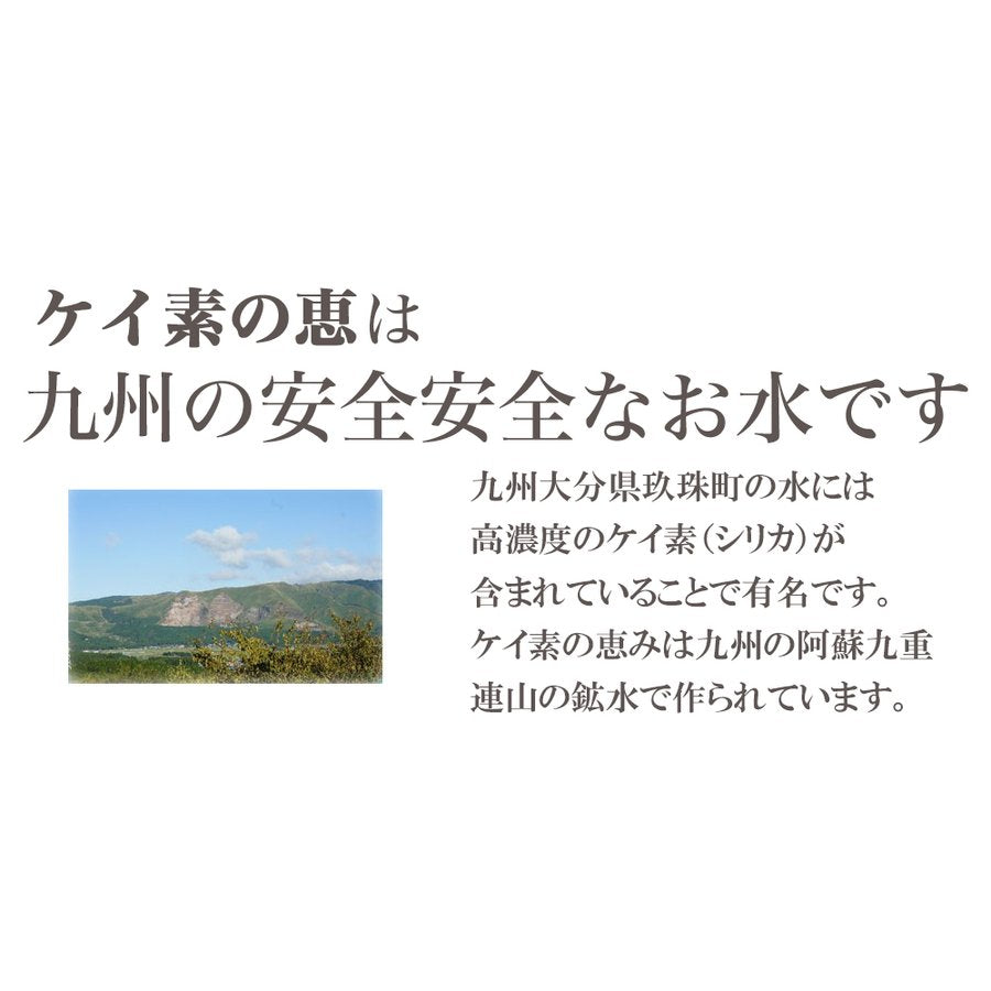シリカ水 ケイ素水 525ml 40本 ケイ素の恵