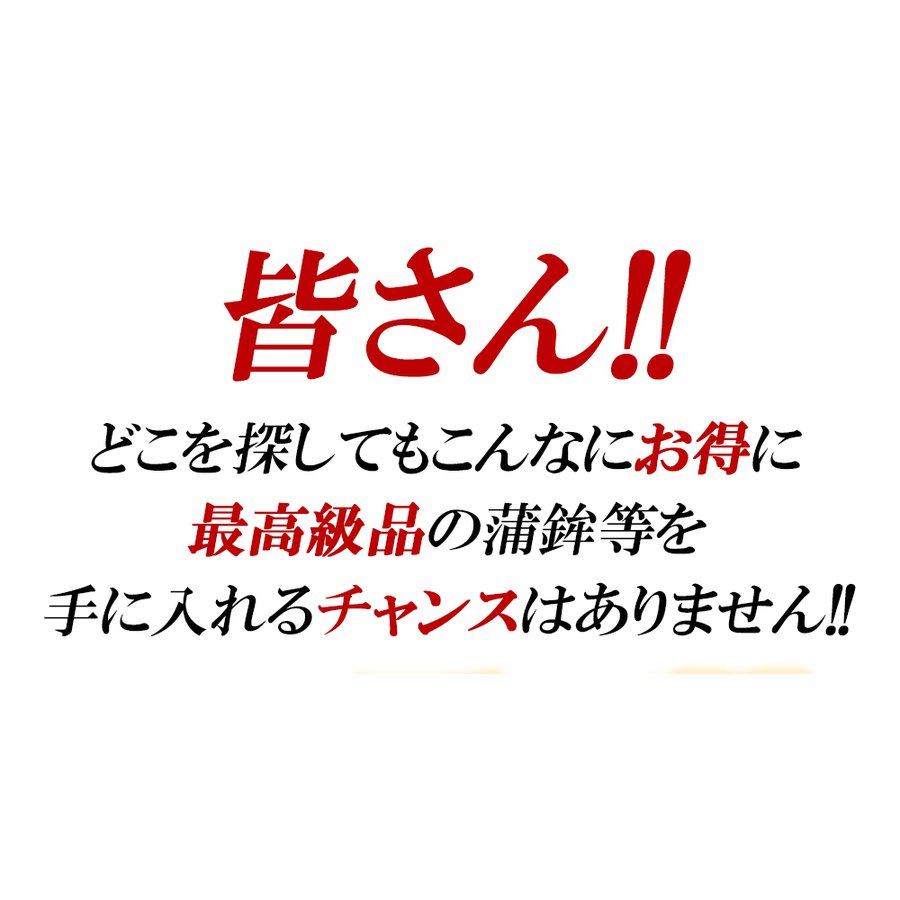 10本セット 【訳あり】小田原名産蒲鉾詰め合わせセット