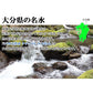 シリカ水 525ml 40本 高濃度シリカ水 ノンラベル エコボト