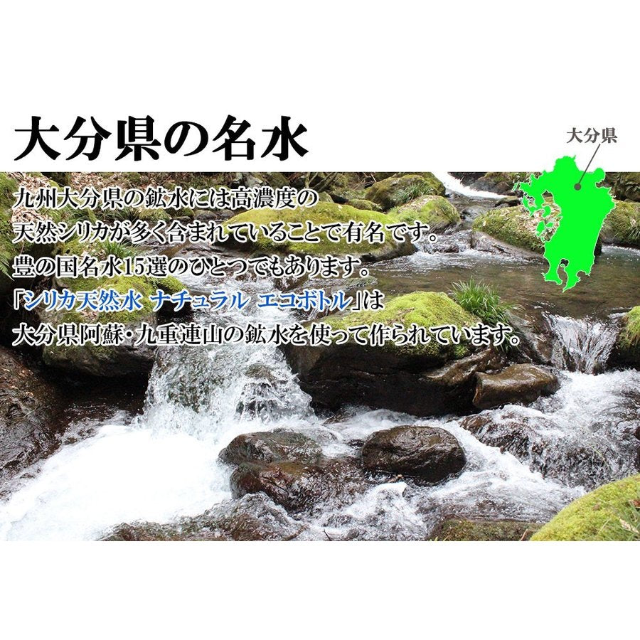 シリカ水 525ml 40本 高濃度シリカ水 ノンラベル エコボト