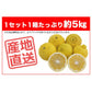 はるか 5kg 果物 産地直送 愛媛県産 B品