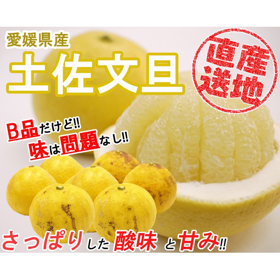 土佐文旦 B品 4kg 果物 産地直送 愛媛県産
