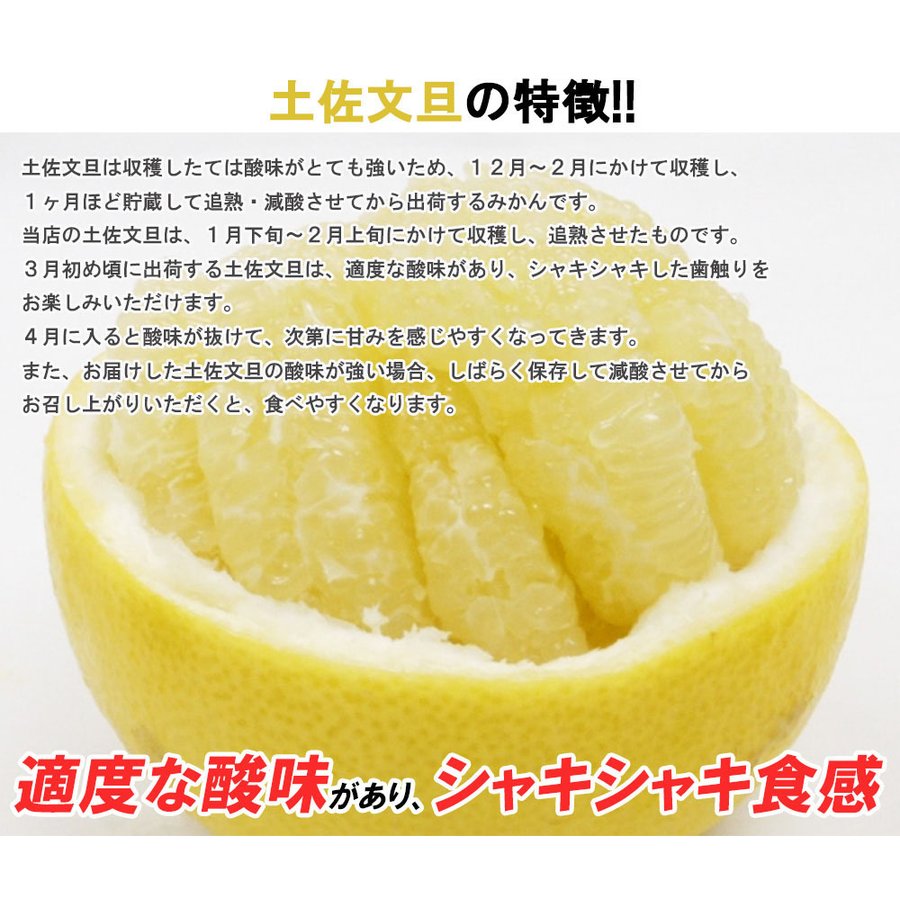 土佐文旦 B品 4kg 果物 産地直送 愛媛県産