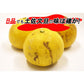 土佐文旦 B品 4kg 果物 産地直送 愛媛県産