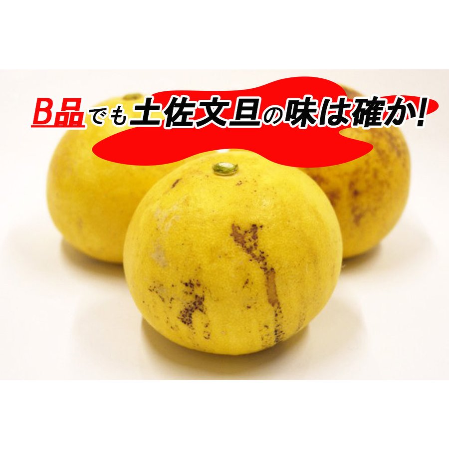 土佐文旦 B品 4kg 果物 産地直送 愛媛県産