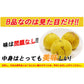 土佐文旦 B品 4kg 果物 産地直送 愛媛県産