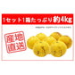 土佐文旦 B品 4kg 果物 産地直送 愛媛県産