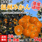 温州みかん 訳あり 5kg