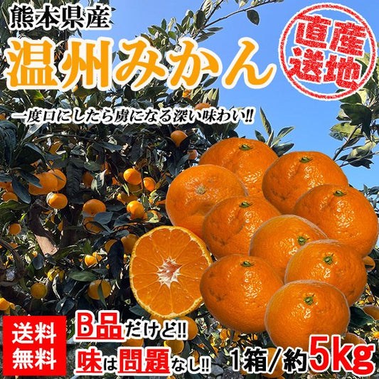 温州みかん 訳あり 5kg