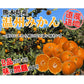温州みかん 訳あり 5kg