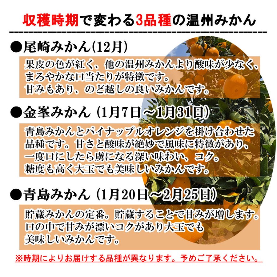 温州みかん 訳あり 5kg