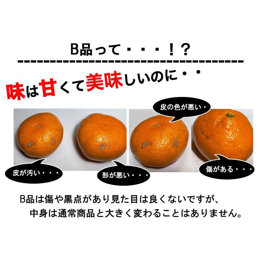 温州みかん 訳あり 5kg