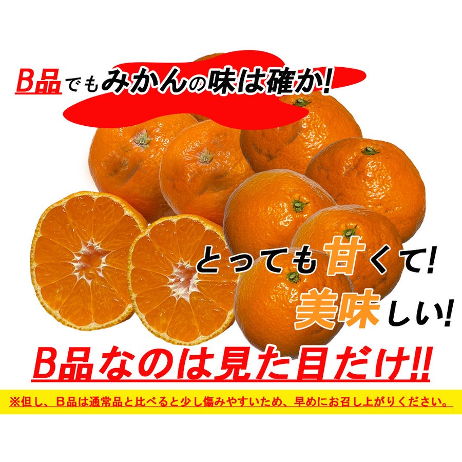 温州みかん 訳あり 5kg