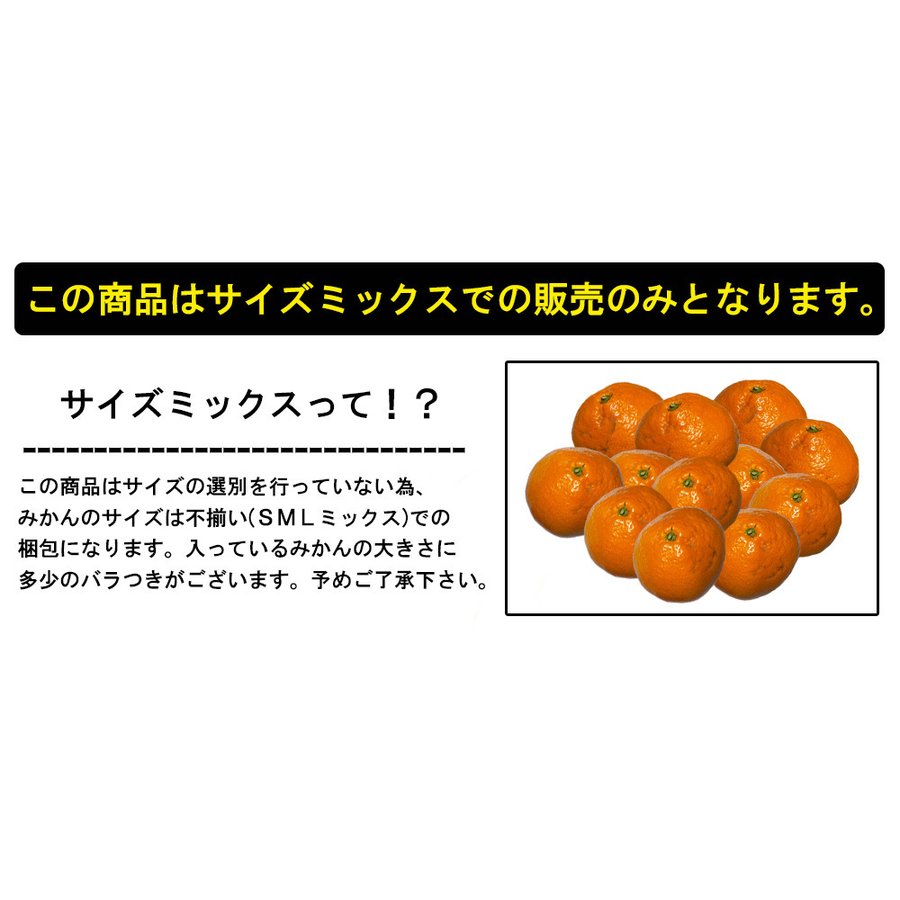 温州みかん 訳あり 5kg