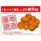 温州みかん 訳あり 5kg