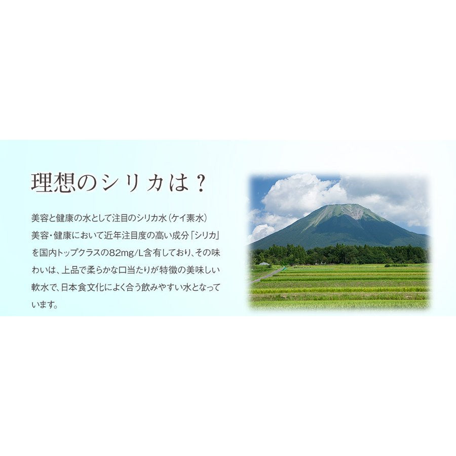 500ml 48本 高濃度シリカ水 理想のシリカ